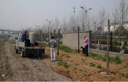 董事長(cháng)親自帶頭移樹(shù)